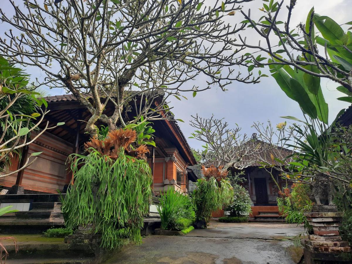 Darta House Privatunterkunft *